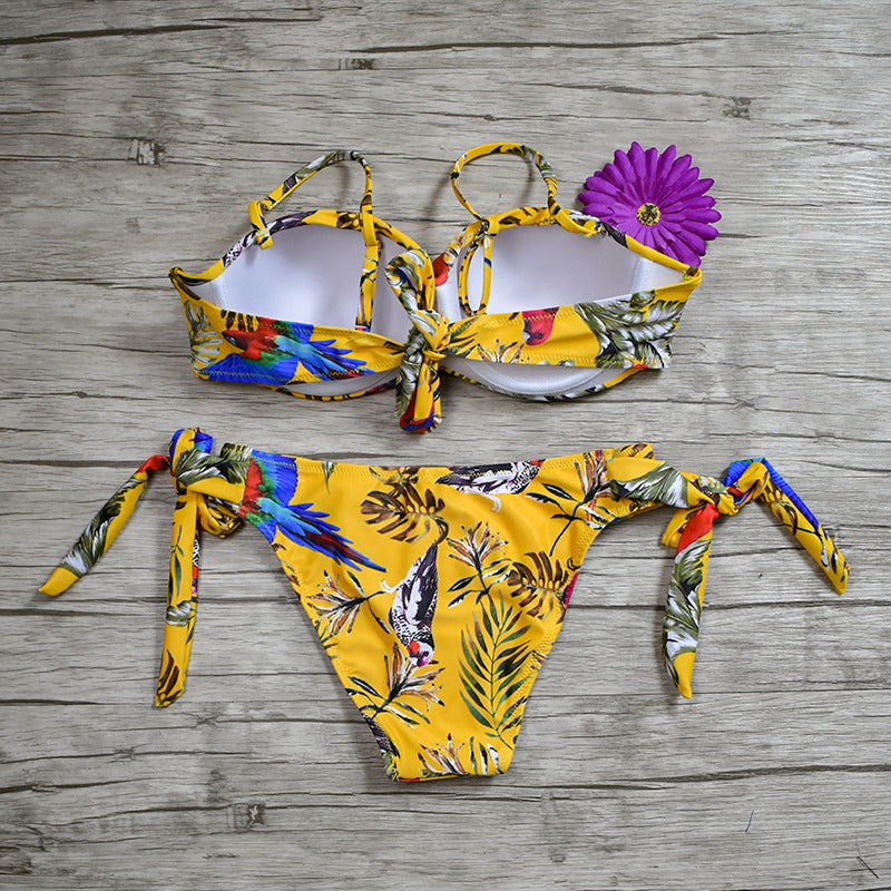 The Aurelia Set - Sunflower