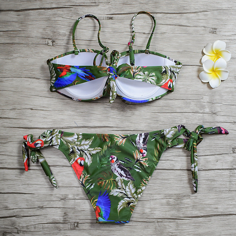 The Aurelia Set - Green Flash