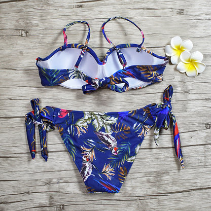 The Aurelia Set - Blue Abyss