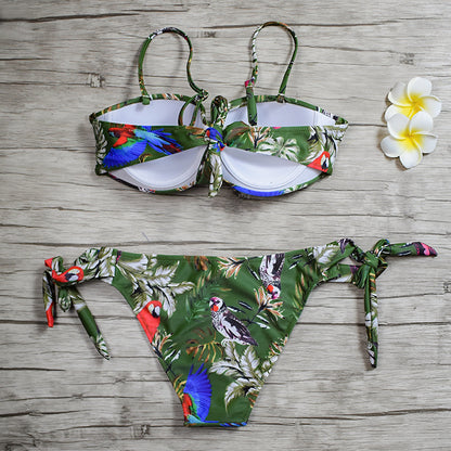 The Aurelia Set - Green Flash